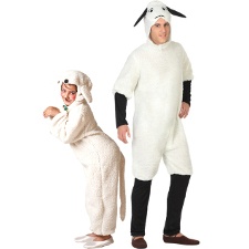 Schapen