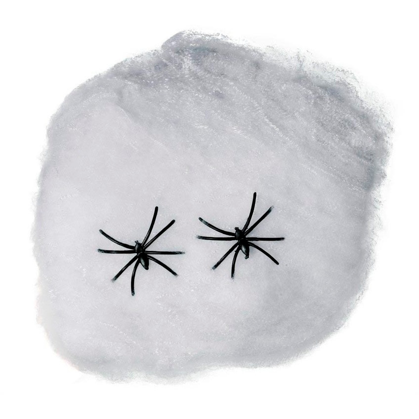 Witte spinnenweb van 40 gr