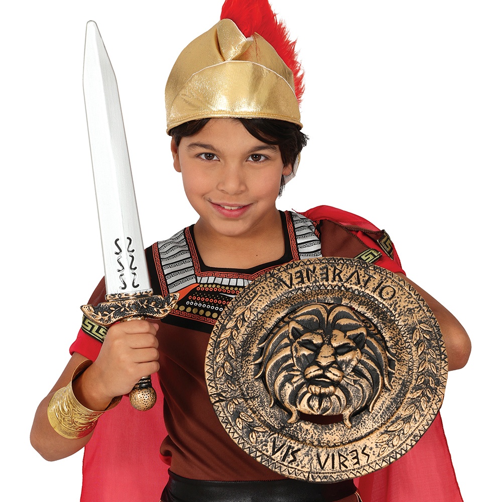 Romeins schild en zwaard - 2