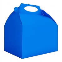 Kartonnen doos van 20 x 16 x 11 cm - 12 stuks