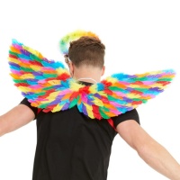 Regenboogveren vleugels - 105 x 30