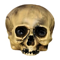 Decoratieve plastic schedel van 15 cm