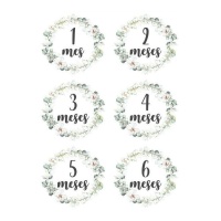 Rijstpapier voor maandelijkse vieringen van 1 tot 6 maanden 29,7 x 42,5 cm - Artis decor - 1 eenheid