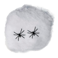 Wit spinnenweb van 500 gr