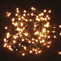 Lichtslinger van 11,80 m - 560 ledlampjes