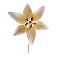 Decoratie met witte orchideeën van 8 cm - Dekora - 20 stuks