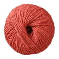 De Alpaca van 50 gr - Casasol