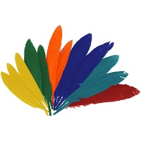 Gekleurde natuurveren van 2,5 x 14 cm - 60 stuks