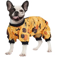 Halloweenkostuum voor honden