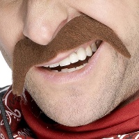Hoefijzer bruine snor