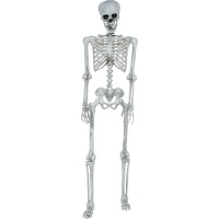 Decoratief skelet met beweegbare gewrichten van 1,45 m