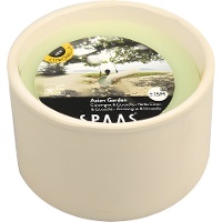 Kaars van 9,8 cm citronella wit terracotta - 1 stuk