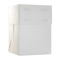 Taartdoos 15 x 15 x 20 cm - verstelbare hoogte tot 24 cm