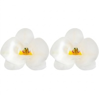 Orchidee-oblaten 8,5 x 7,5 cm - Dekora - 10 stuks