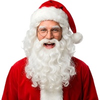Kerstmanpruik en baard 250 gr