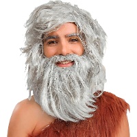 Grijze holbewoner pruik en baard