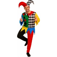 Kleurrijk Harlekijn Kostuum