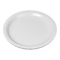 Witte kartonnen borden - 10 stuks van 20 cm