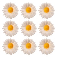 Witte madeliefjes suikerfiguurtjes van 4,5 cm - Dekora - 48 stuks