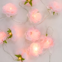 Slinger met bloemvormige LED-lampjes op batterijen - 1,65 m
