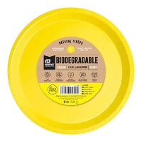 Kleurrijke kartonnen borden van 17 cm - 12 stuks