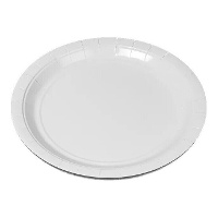 Witte kartonnen borden - 50 stuks van 20 cm