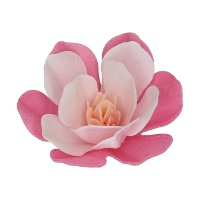 Magnolia bloemwafels in verschillende maten - FunCakes - 6 stuks