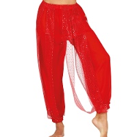 Buikdansbroek met glitters