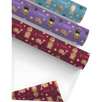 Cadeaupapier Drie Koningen assorti 2 x 0,70 m - 1 stuk
