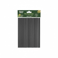 Biologisch afbreekbare papieren rietjes van 20 cm - Honest Green - 100 stuks