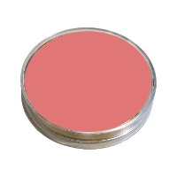 Professionele waterbasis make-up in een potje van 12 ml