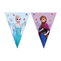 Blauw Frozen-vlaggetje met Elsa en Anna