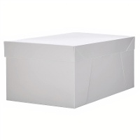 Doos van 45 x 35 x 15 cm voor rechthoekige taart - Hilarious