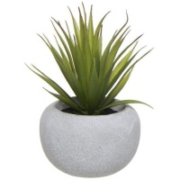 Kunstmatige cactusplant in ronde cementen bloempot van 10 x 16 cm