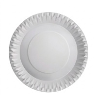 Metalen kartonnen bordjes van 23 cm - 10 stuks
