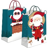 Cadeautas 23 x 18 x 10 cm met Kerstman - 1 stuk