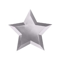 Metalen Stervormige Borden van 27 cm - 6 Stuks