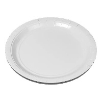 Witte kartonnen borden - 100 stuks van 20 cm