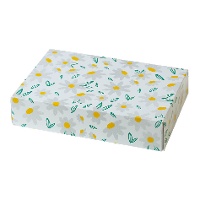Doos van 23,5 x 16 x 5 cm met madeliefjes