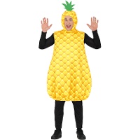 Ananas kostuum voor volwassenen