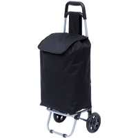 Boodschappentrolley van 52 x 30 cm