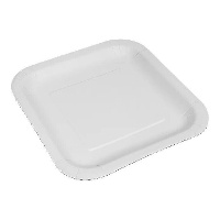Witte kartonnen borden van 20 cm vierkant - 10 stuks
