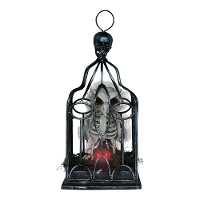 Kooi met skeletuil met licht, geluid en beweging - 33 cm
