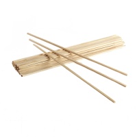 Houten stokken voor suikerspin 28 cm - Pastkolor - 20 stuks