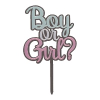 Taarttopper 'Boy or Girl?' zilver, roze en blauw 10,5 x 16,5 cm