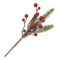 Sneeuwachtige maretak decoratieve tak