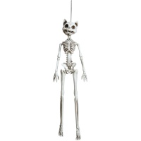 Hangend kattenskelet van 37 cm