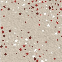 Canvasstof Recycled Xmas Dreams - Katia