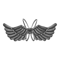 Zwarte ballon engelenvleugels van 1,03 x 0,50 m