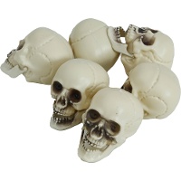 Schedel van 6 cm - 6 stuks